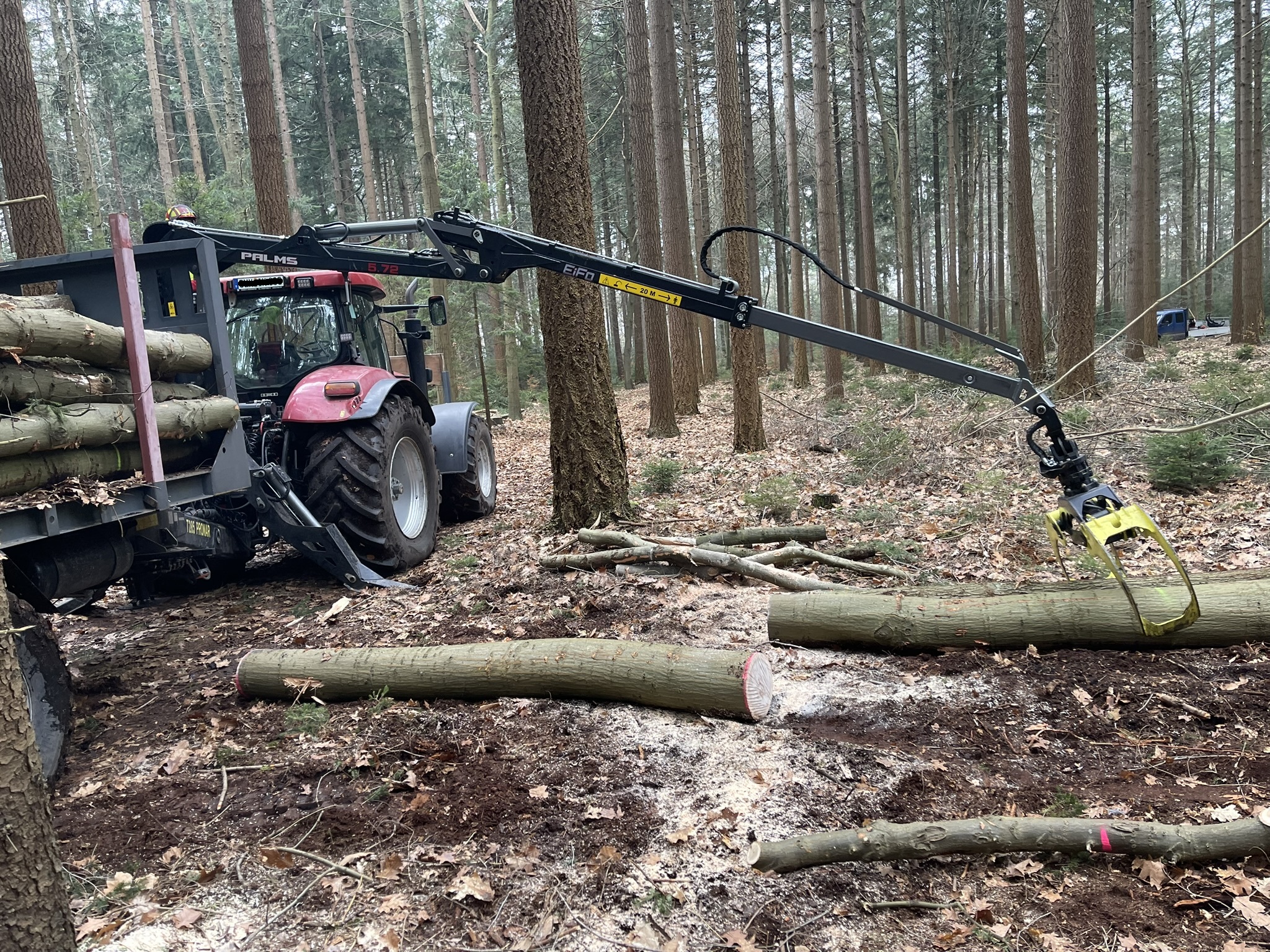 Holzernte im Wald mit Traktorkran